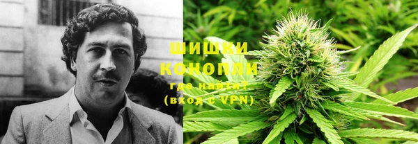 дживик Белоозёрский