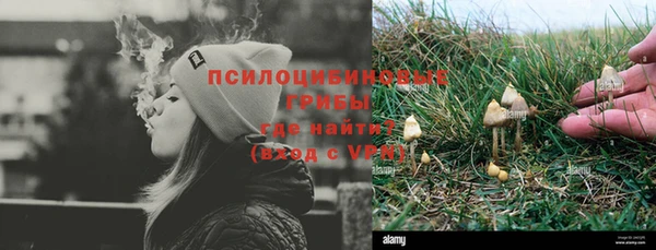 стаф Беломорск